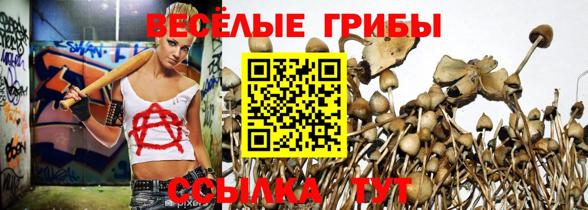 Псилоцибиновые грибы мухоморы  Вход с VPN  Псилоцибиновые грибы MAGIC MUSHROOMS  Медногорск 