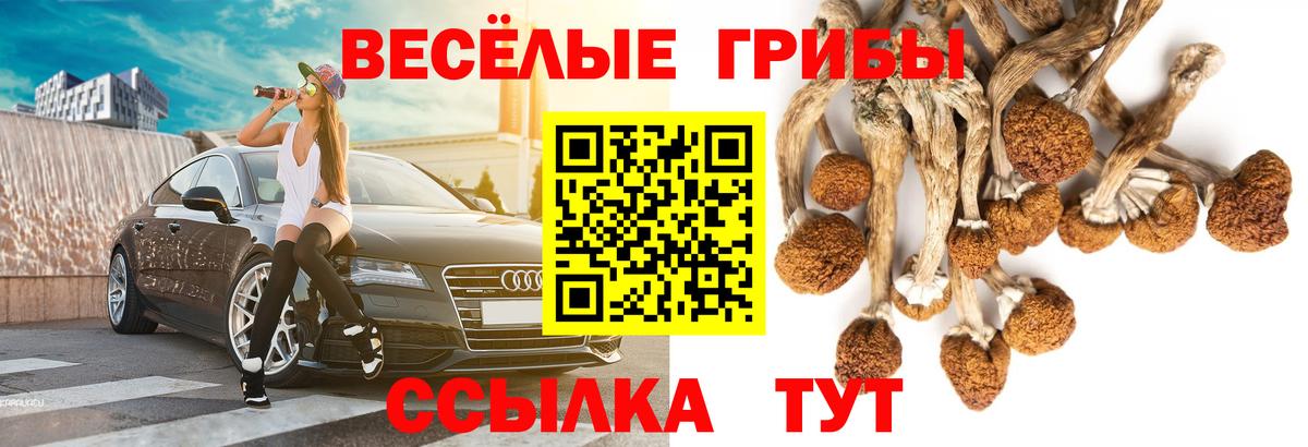 Псилоцибиновые грибы Magic Shrooms Медногорск